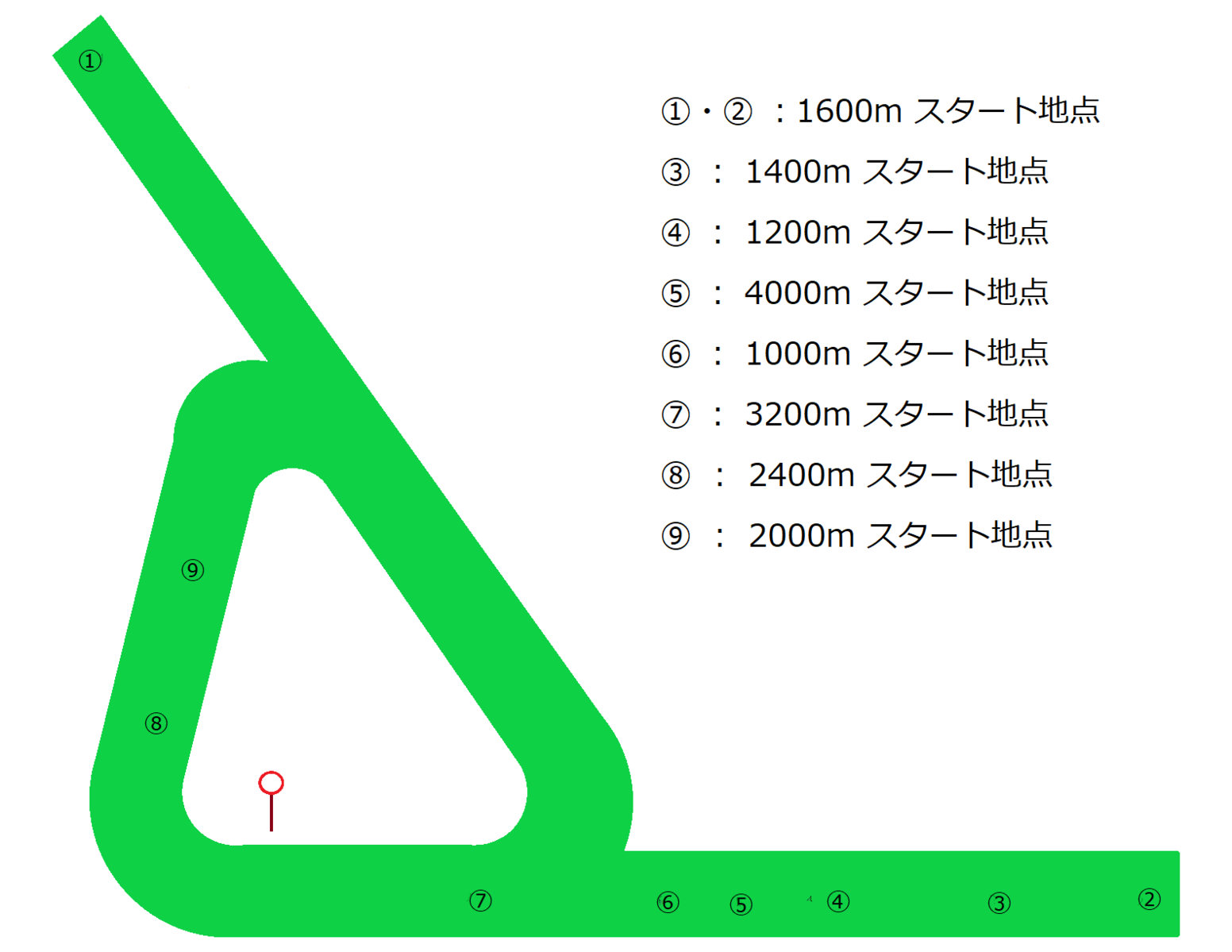 競馬 海外の競馬場って変なコースばっかだな ウマ娘うまぴょい速報