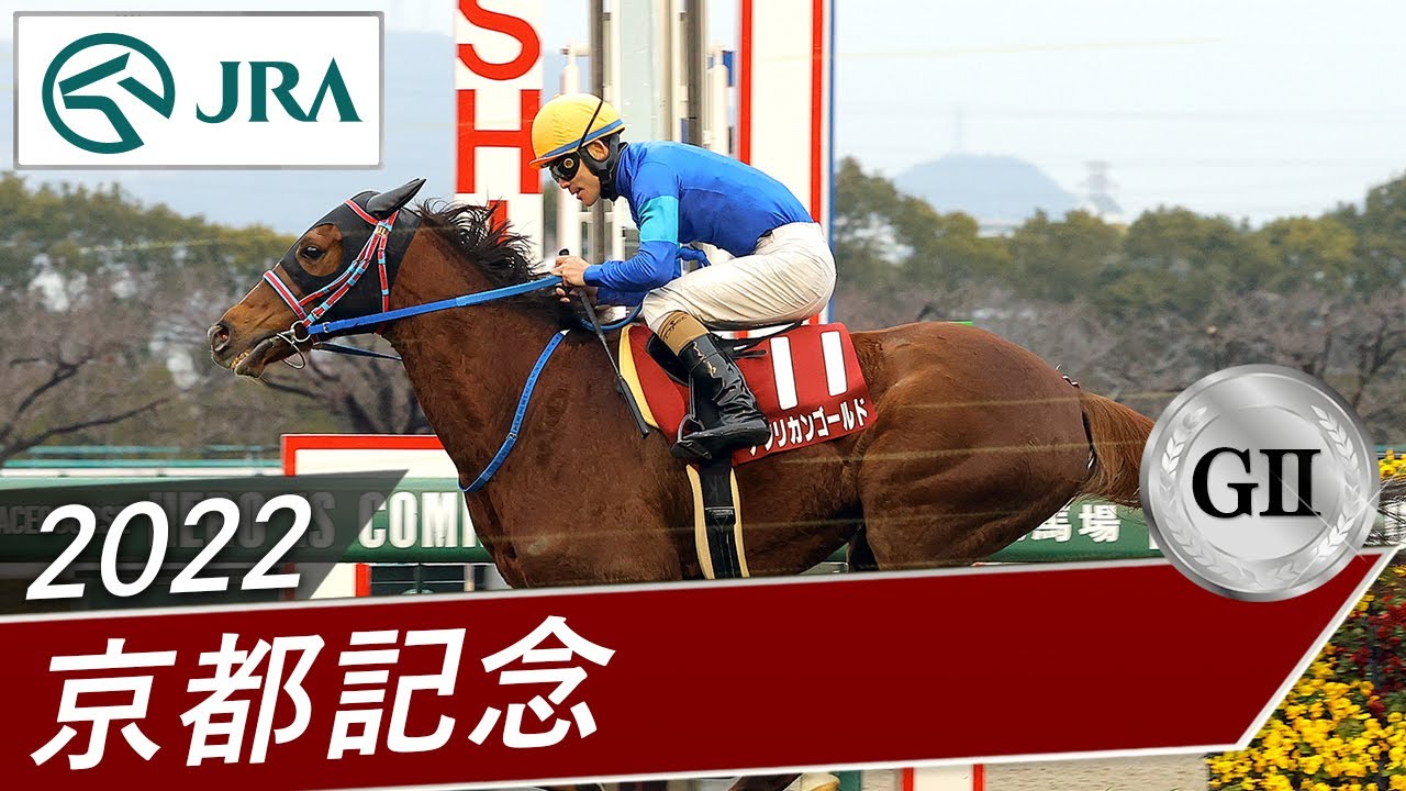 【競馬】アフリカンゴールドが現役引退　今後は阪神競馬場で乗馬に