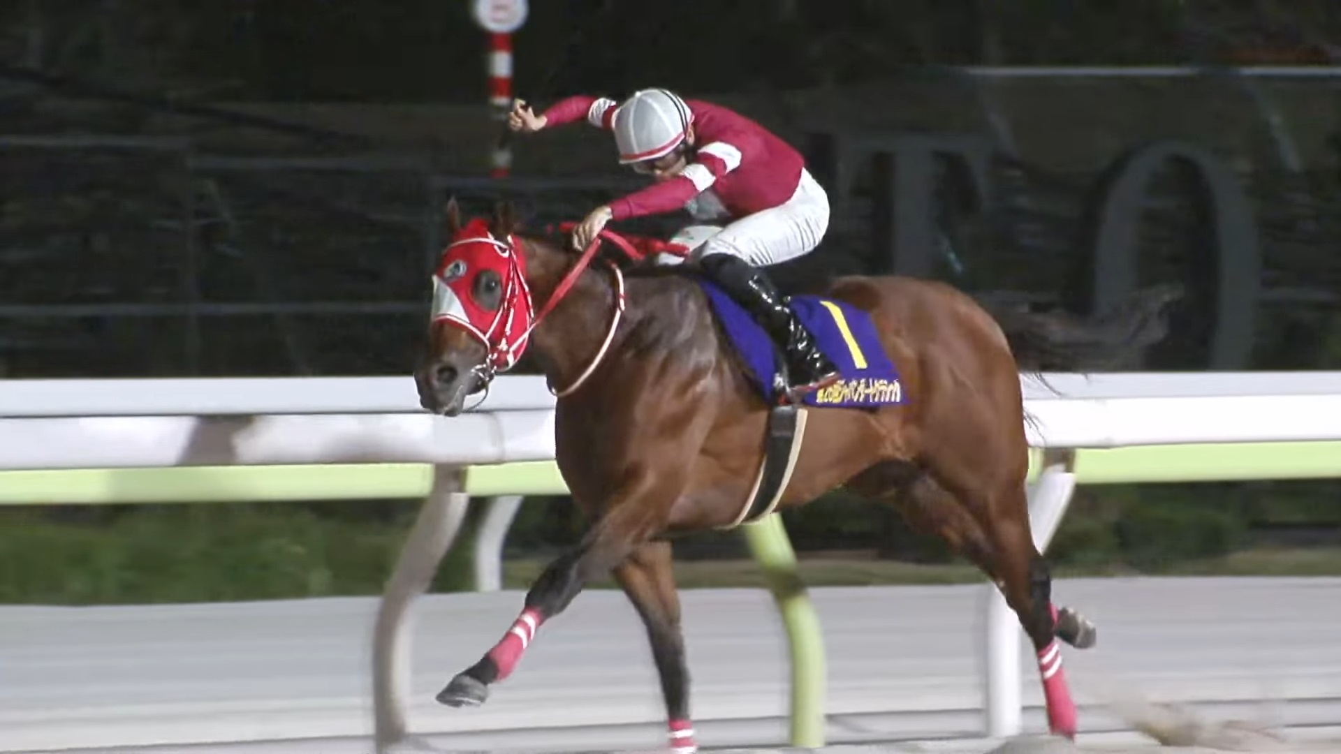 【競馬】香港カップと香港ヴァーズの予備登録馬にフォーエバーヤングの名前がある！