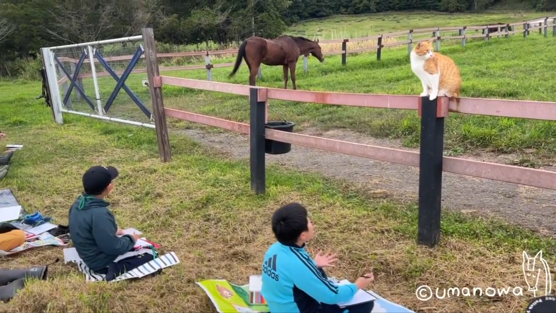 ひだかうまキッズがメイショウドトウとネコパンチをスケッチ！ドトウもメトもファンサが凄いな！