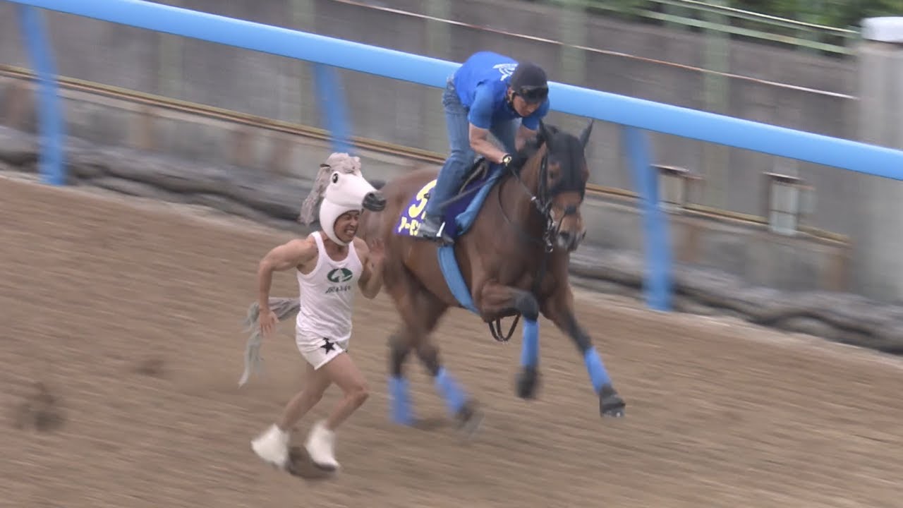 【競馬】なかやまきんに君 VS アーモンドアイｗｗｗ