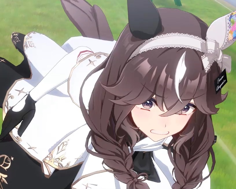 【ウマ娘】ブーケちゃんの鬼気迫る表情