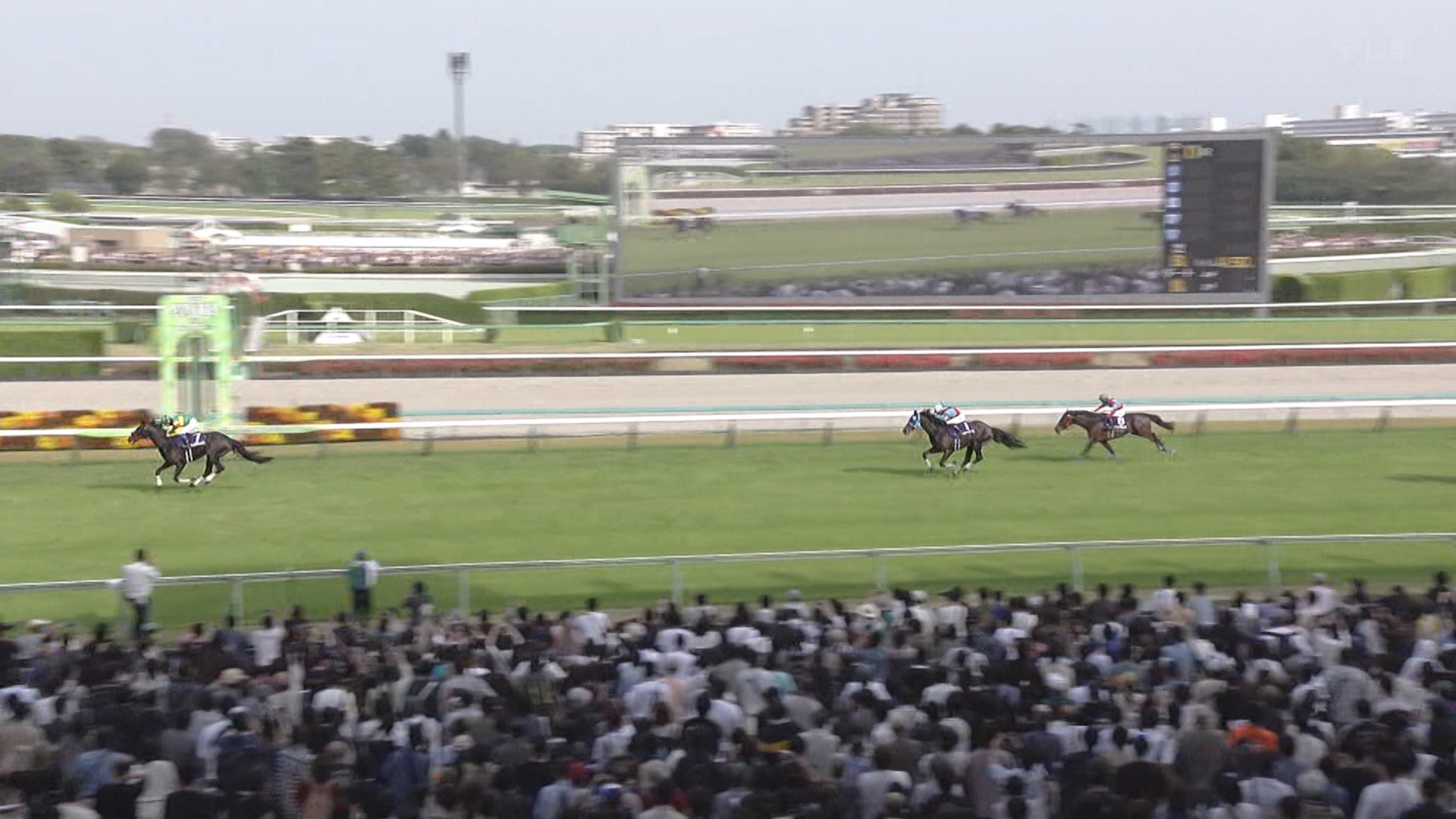 【ウマ娘民の反応】中山グランドジャンプはエコロデュエルがレコード勝利！キタサンブラック産駒はJG1初制覇！