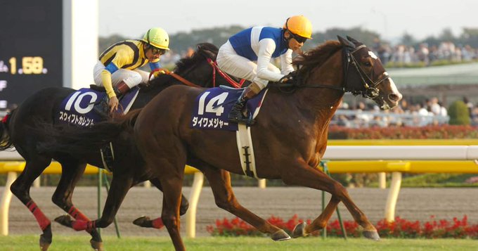 【訃報】G1・5勝のダイワメジャーが死去　25歳