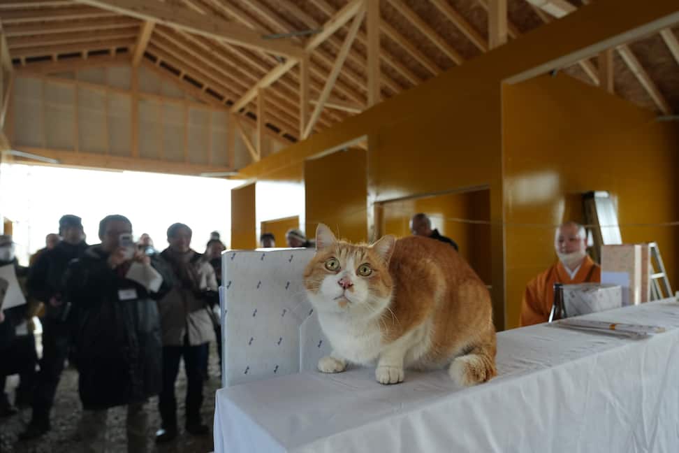 ノーザンレイクでクラファン新厩舎建設の地鎮祭　メトはやんちゃなファンサ連発