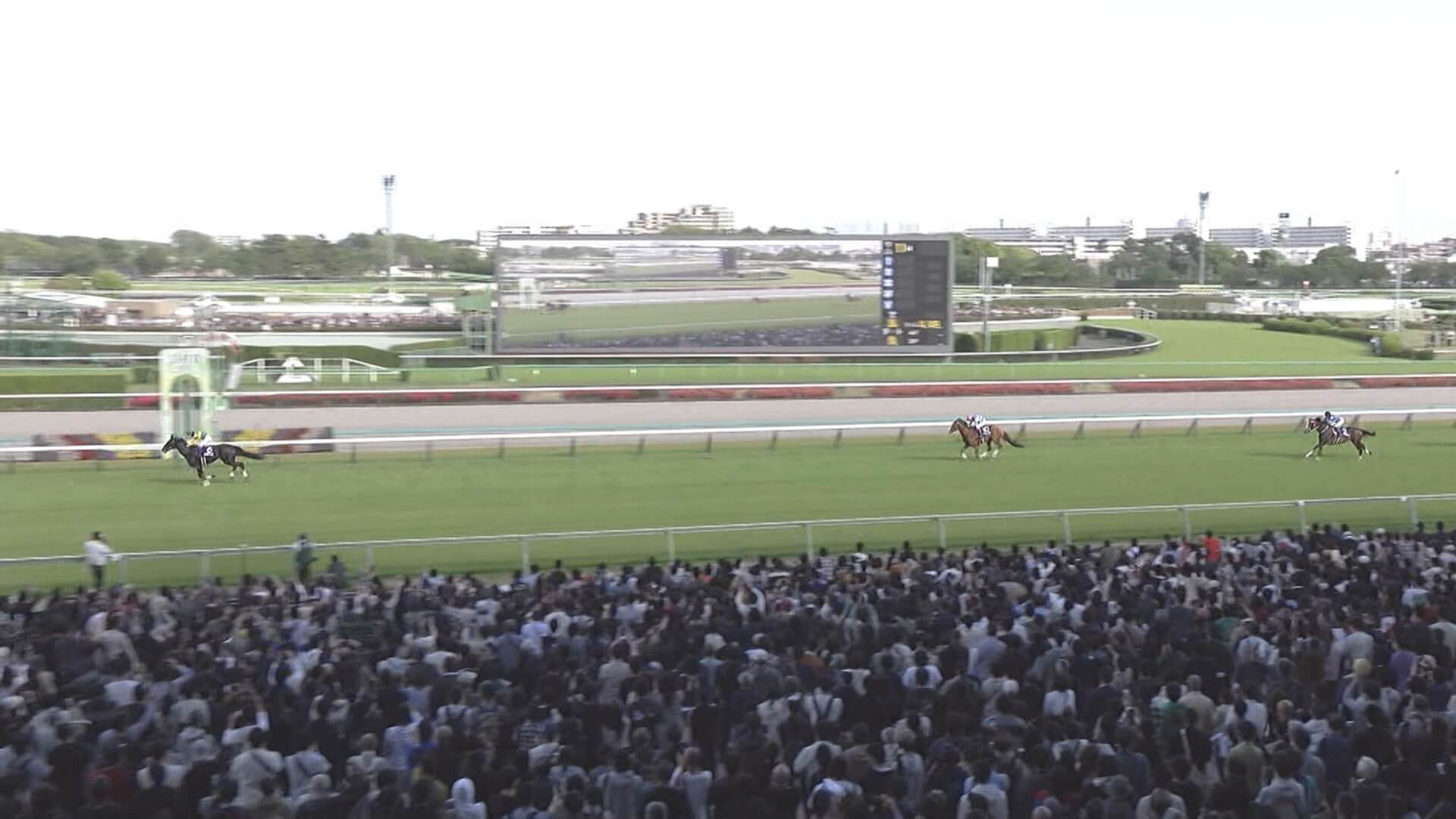 「障害の絶対王者だ」中山グランドジャンプはエコロデュエルが圧勝で連覇達成！【ウマ娘民の反応】