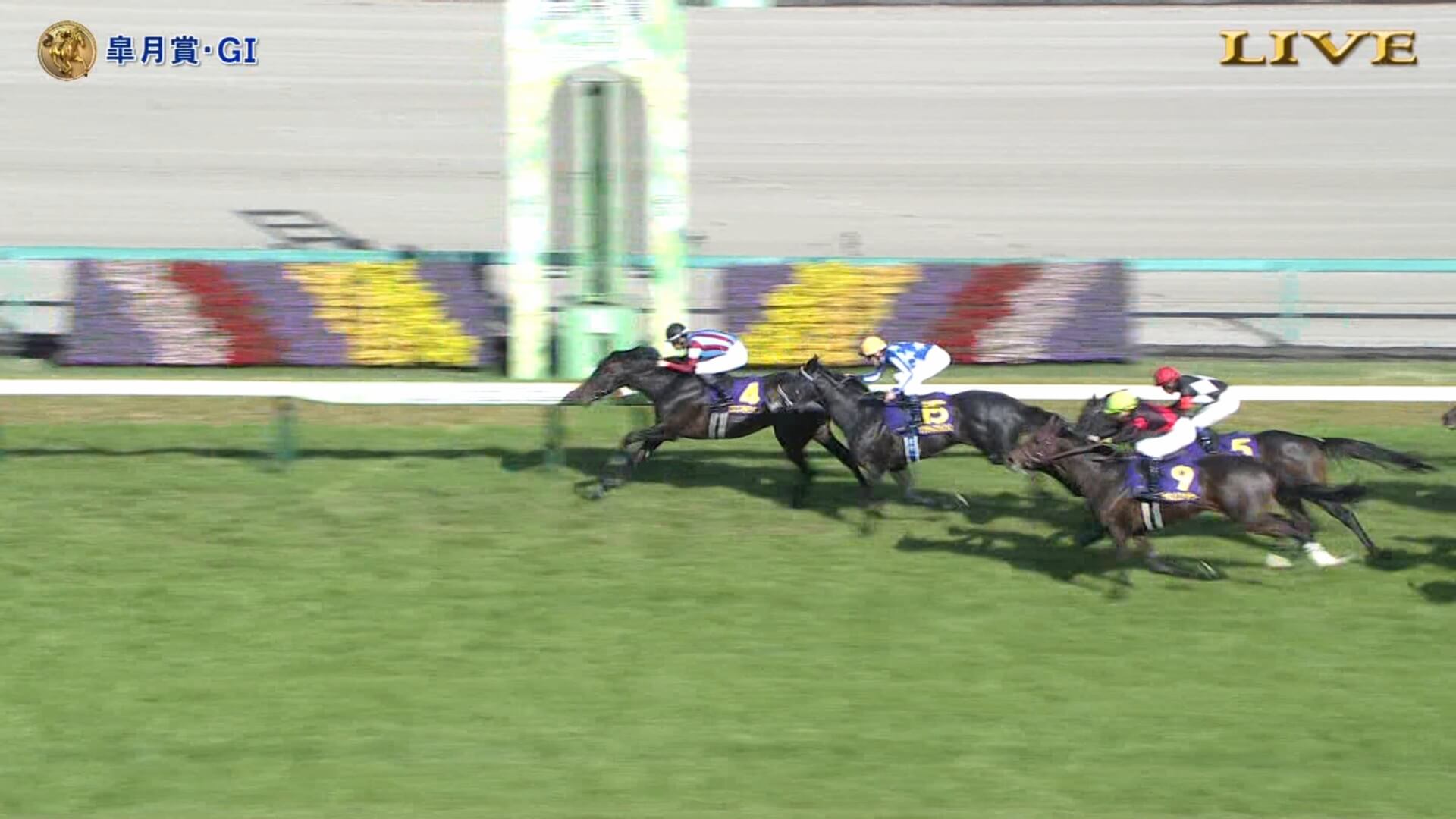 「怪物あらわる」皐月賞はロブチェンが逃げ切ってレコード勝利！【ウマ娘民の反応】