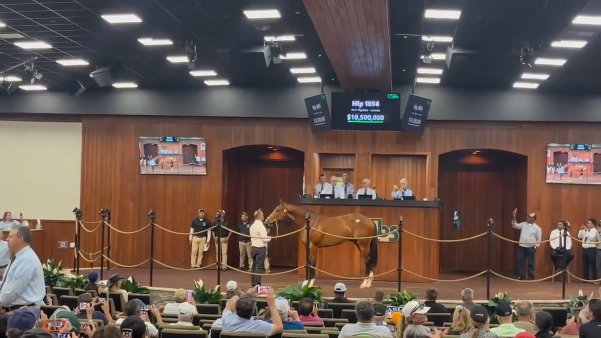 【競馬】アメリカの2歳馬セールでフライトライン産駒が16億円超えで落札