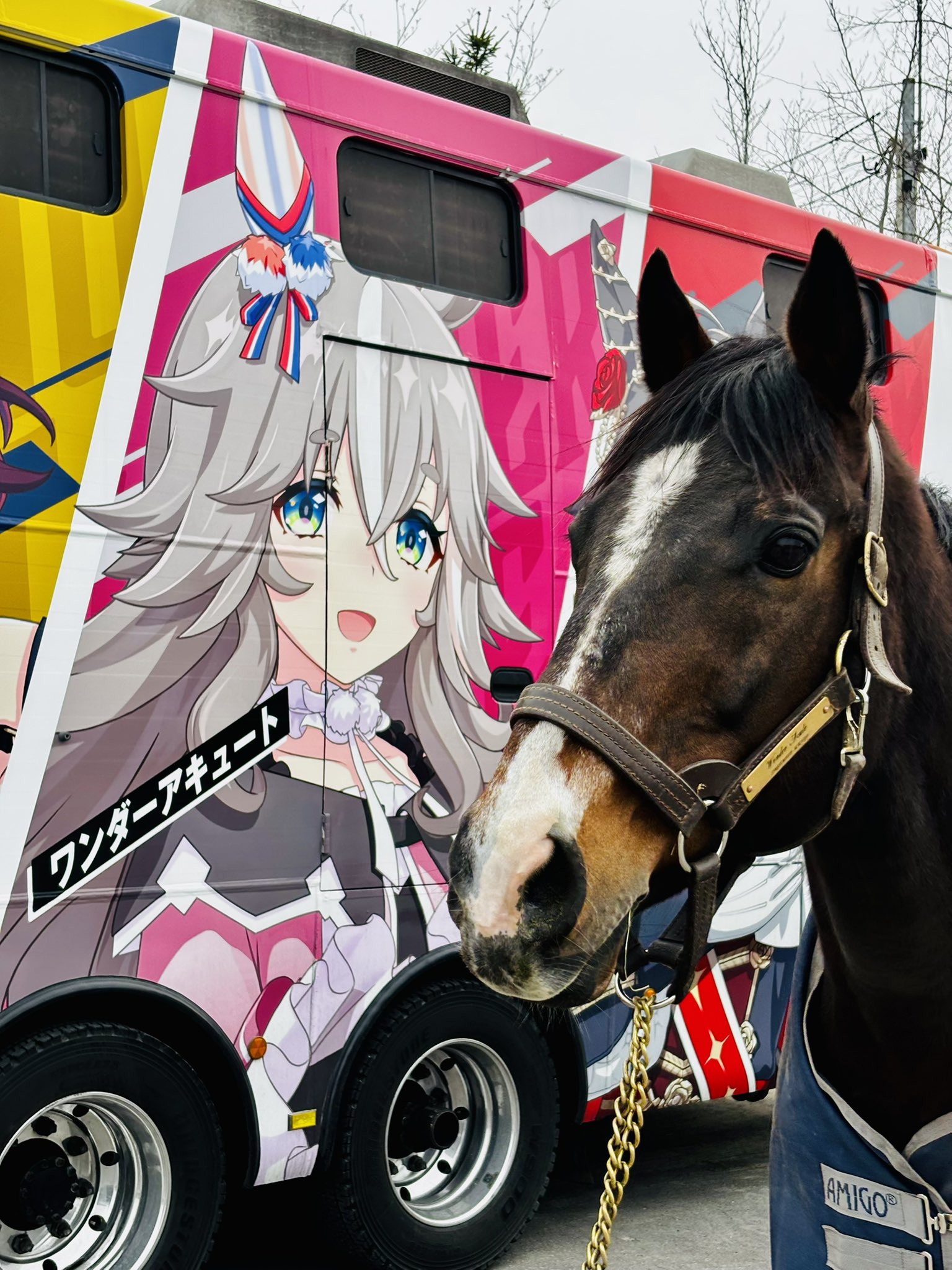 【小ネタ・画像】アキュ爺とアキュばあば　他ウマ娘・競馬小ネタまとめ