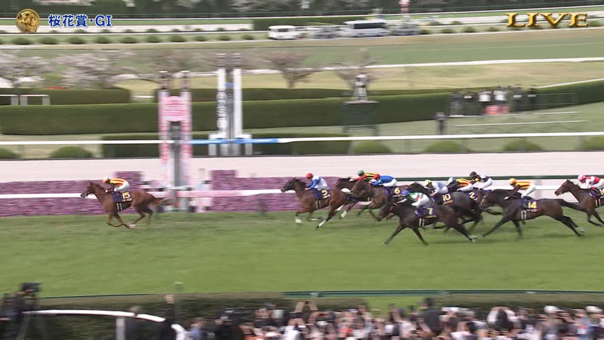 「つっよ！」桜花賞は2歳女王スターアニスが完勝！【ウマ娘民の反応】